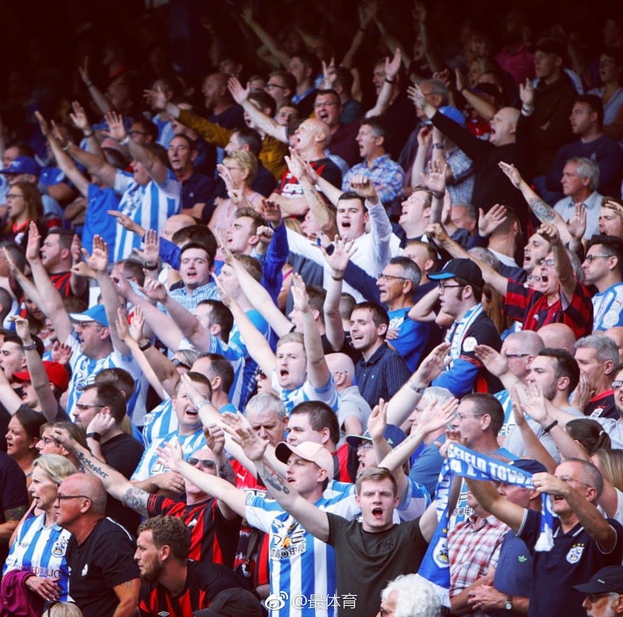 体和球迷的